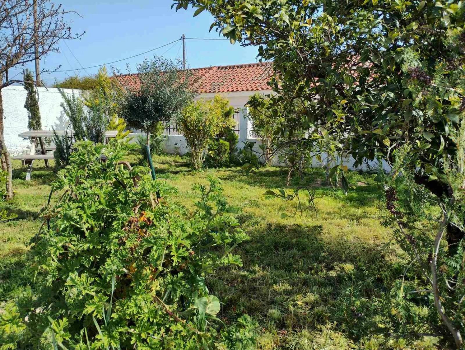 Nafplio Cottage-grandma's Yard * Asíni